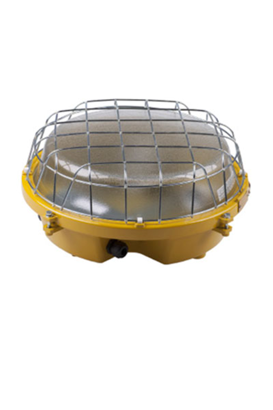 IAESYESA S.A. DE C.V.